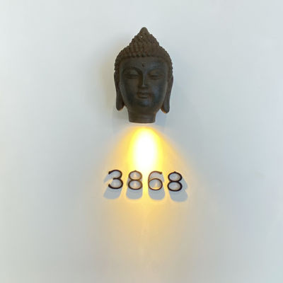 प्रबुद्ध स्टेनलेस स्टील 304 धातु पता संकेत पेंच माउंट